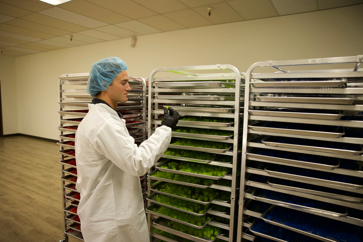 Chris Magee on the production floor